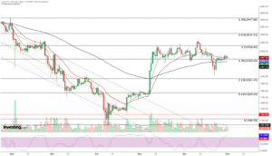 Three Promising Altcoins Poised for Growth Amid Potential Capital Shift from Bitcoin | Investing Insights